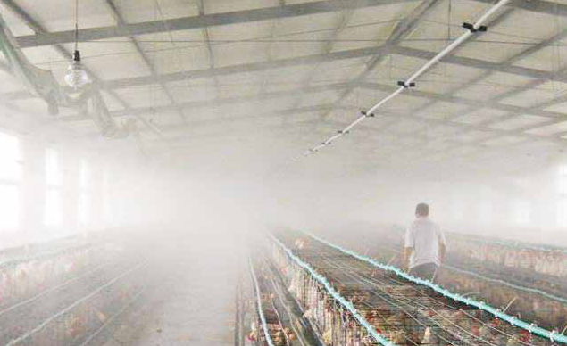 1692088674110963.png 1692088674110963.png