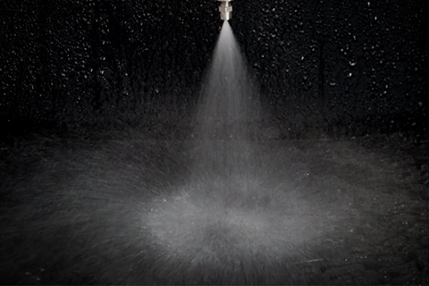 雷竞技红利官网